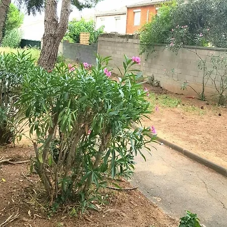 Béziers, Chez Chrystel Et Pierre, Proche Hôpital Et Commodités 2 Chambres, Cosy Dans Résidence, Place De Parking Privée, 10mn De La En Voiture